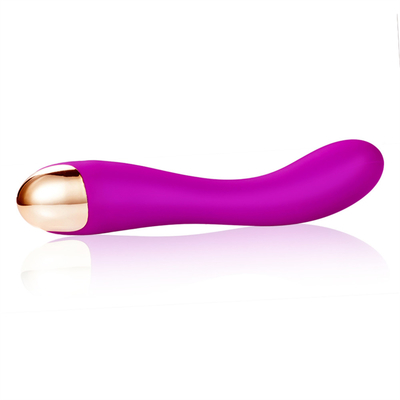10속 딜도 비브레이터 USB 재충전 G점 클리토리스 비브레이터 마사지 여성용