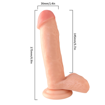 100% 안전성 높은 유연성 물질 생생한 딜도
